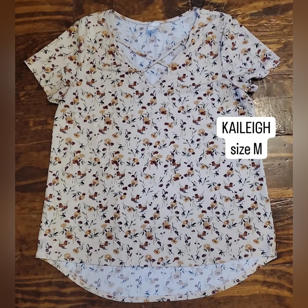 Kaileigh Floral V-Neck Top in Cream and Brown